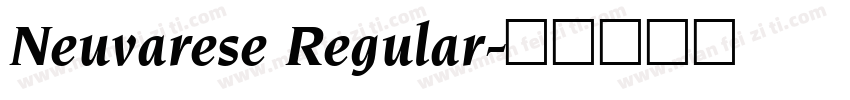 Neuvarese Regular字体转换